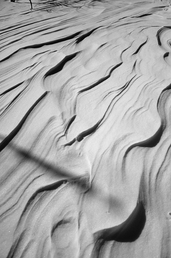 Фотовиставка Лідії Кожевнікової 